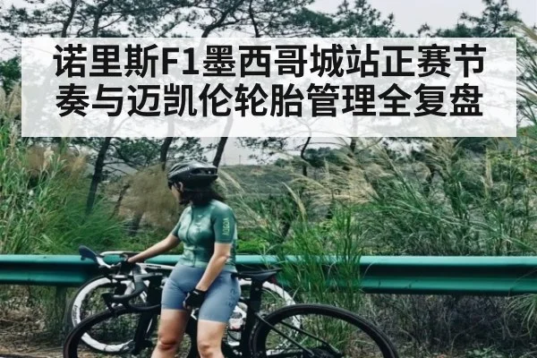 诺里斯F1墨西哥城站正赛节奏与迈凯伦轮胎管理全复盘